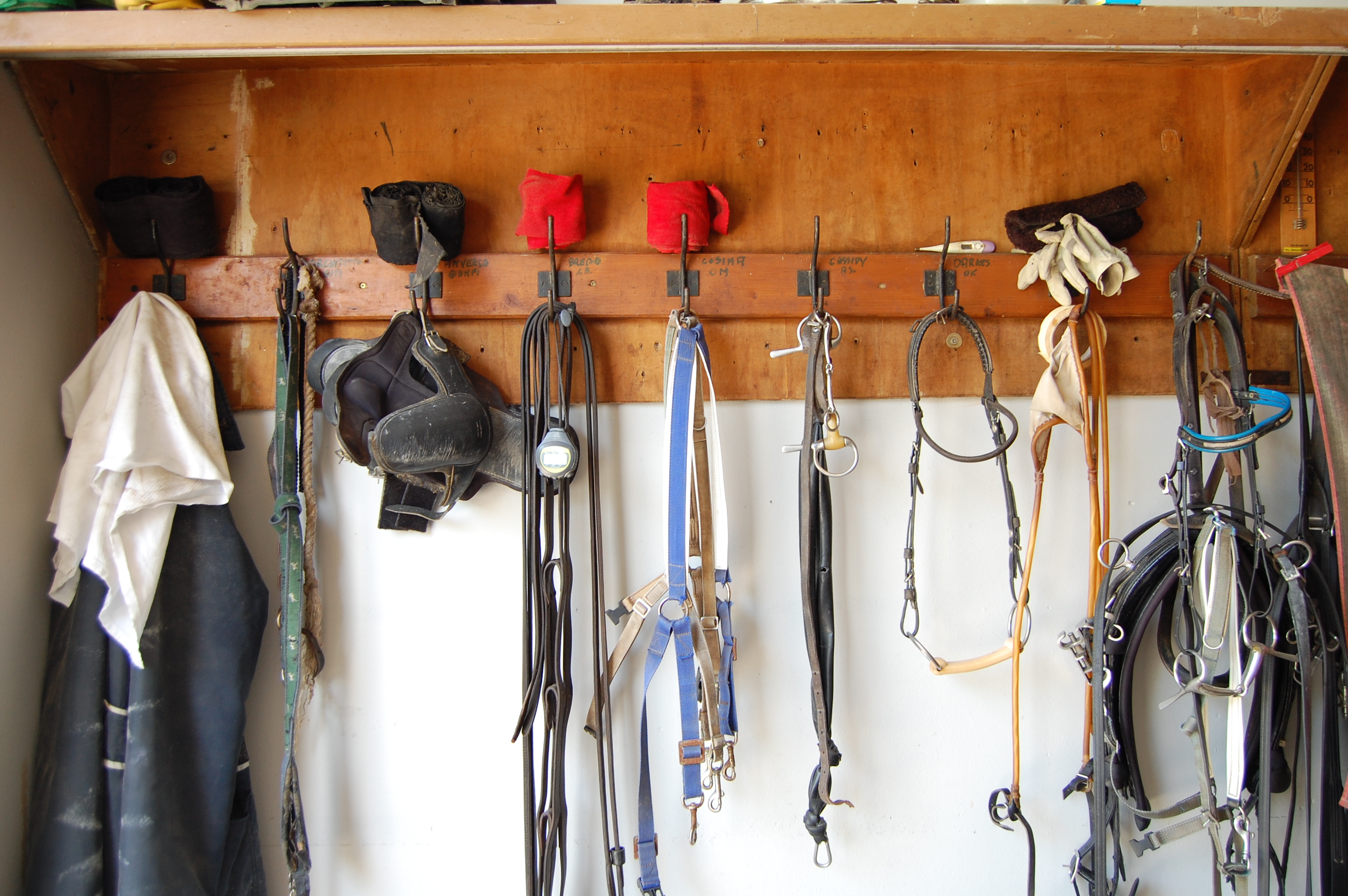 Equitazione