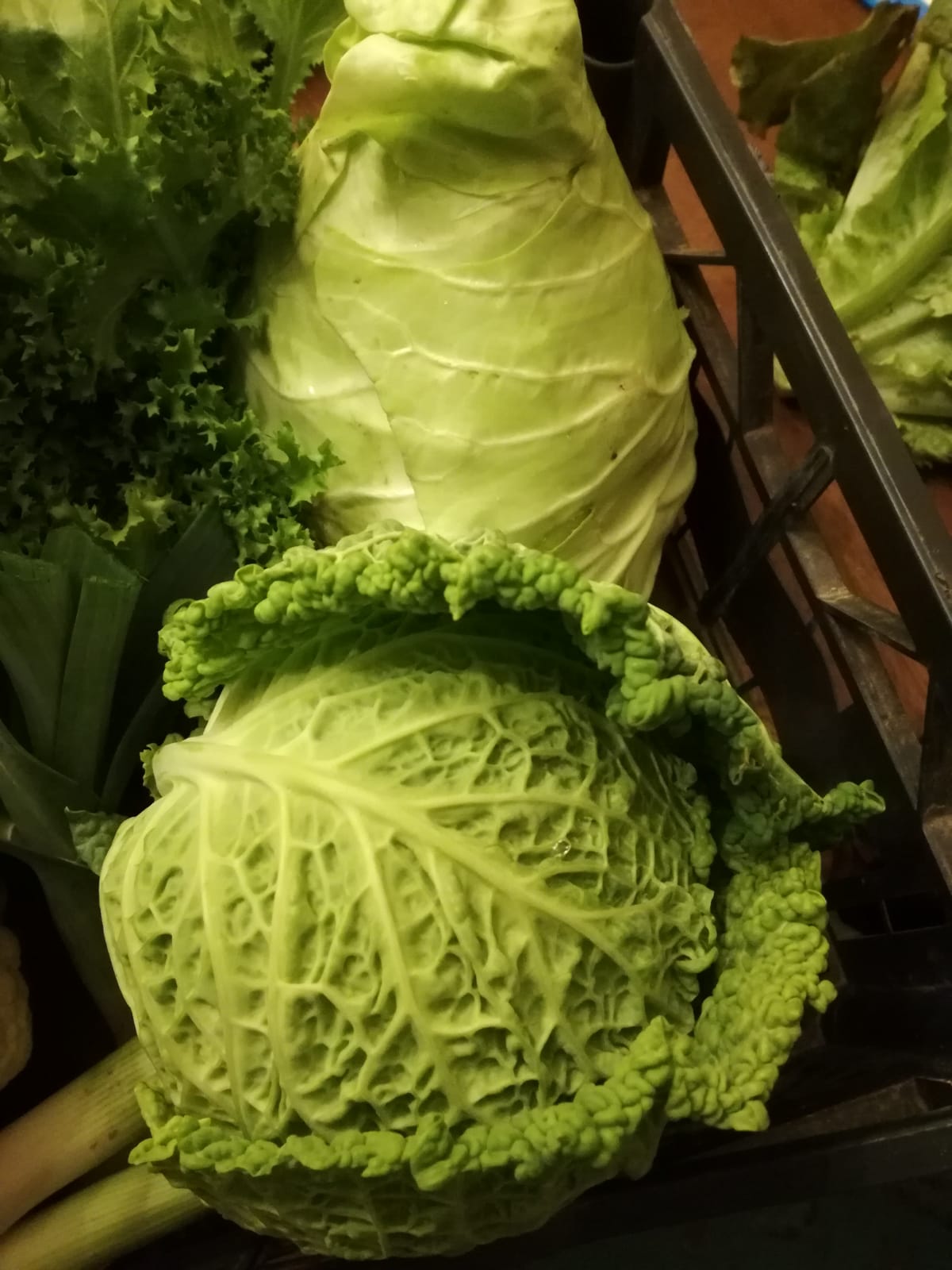 verdure